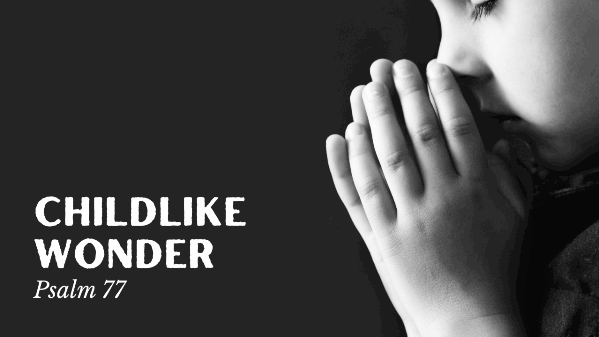 childlike-wonder-psalm-77-st-paul-s-caulfield-north
