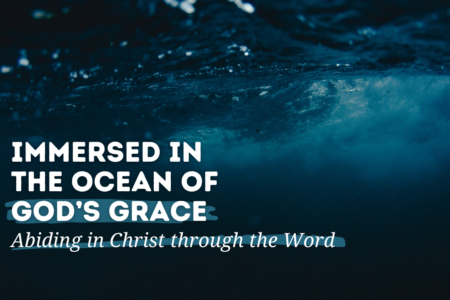 August 4 - Immersed in the Ocean of God's Grace - Abiding in Christ through the Word